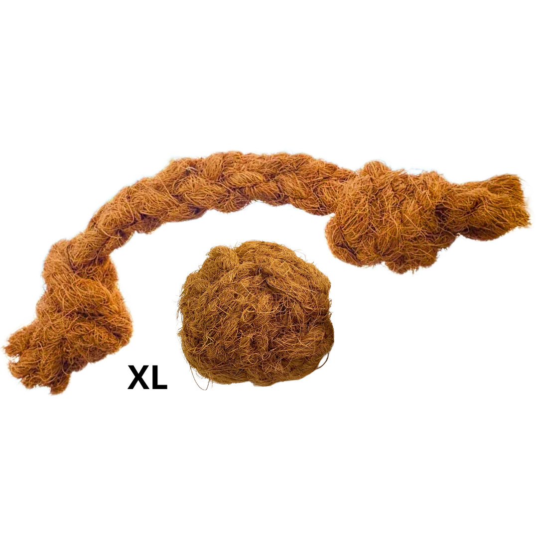 Duo_corde_et_balle_de_coco_pour_grand_chien_taille_XL_Chienalafolie