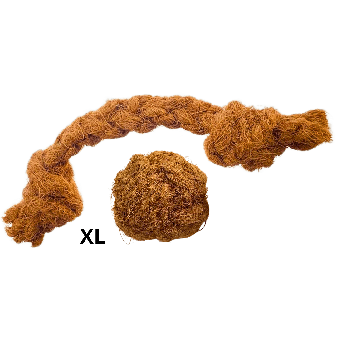 Jouet dentaire naturel chien balle en fibre et corde de coco tressée pour mastication sécuritaire chien destructeur