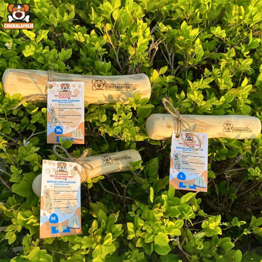 Assortiment_de_batons_de_bois_de_cafe_ecologiques_Chienalafolie_dans_la_nature