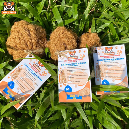 Comparaison_des_tailles_de_balles_de_coco_pour_chien_sur_l_herbe_Chienalafolie