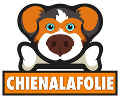 Chienalafolie page d'accueil