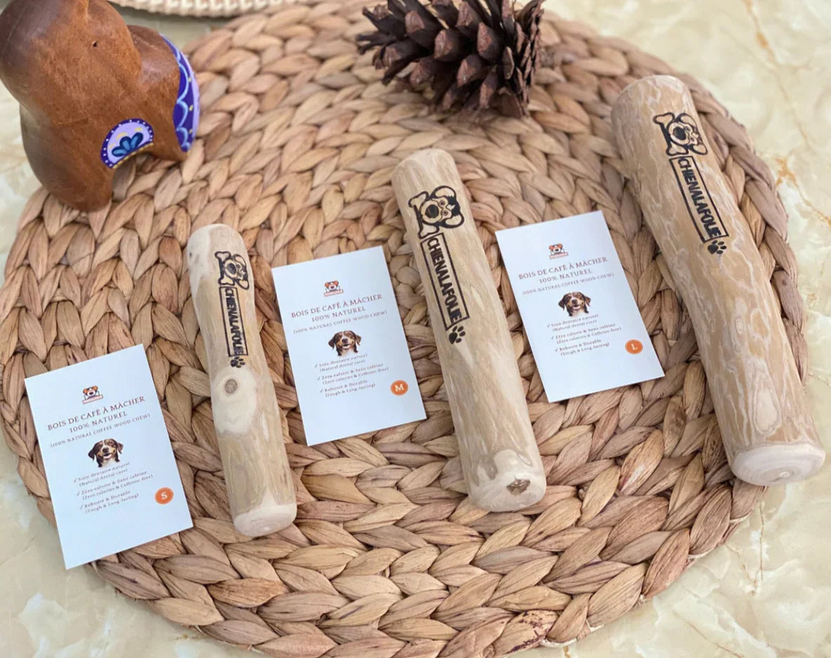 Assortiment_de_batons_de_bois_de_cafe_ecologiques_Chienalafolie