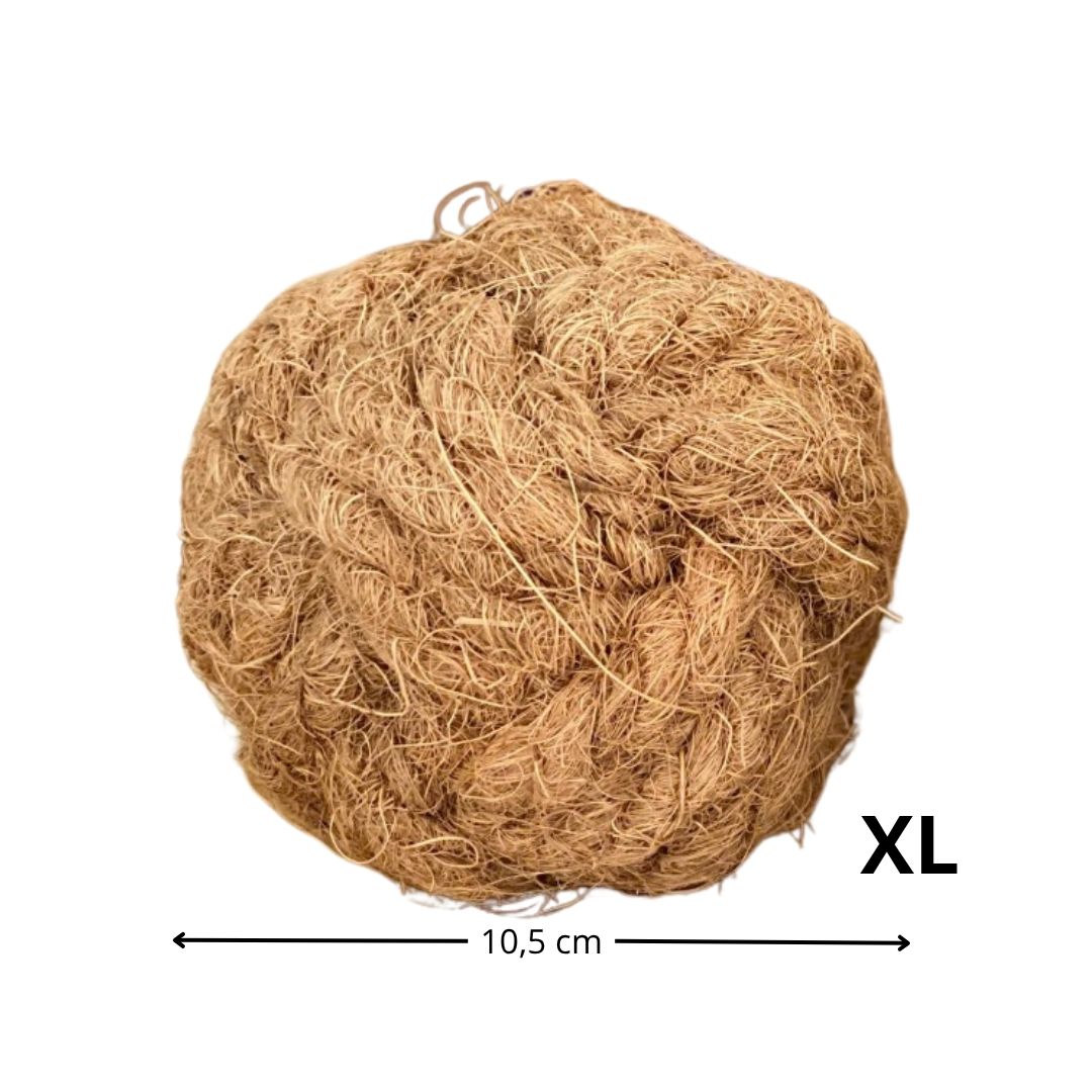 Balle de coco à mâcher XL Chienalafolie