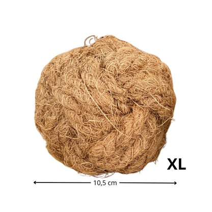 Balle de coco à mâcher XL Chienalafolie