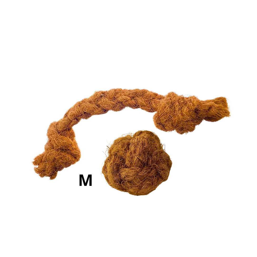 Duo_corde_et_balle_de_coco_pour_grand_chien_taille_M_Chienalafolie