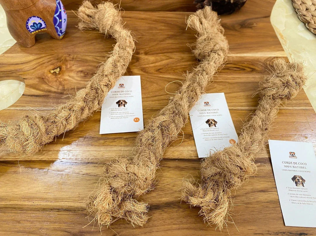 Ensemble_jouet_corde_de_coco_naturelle_Chienalafolie