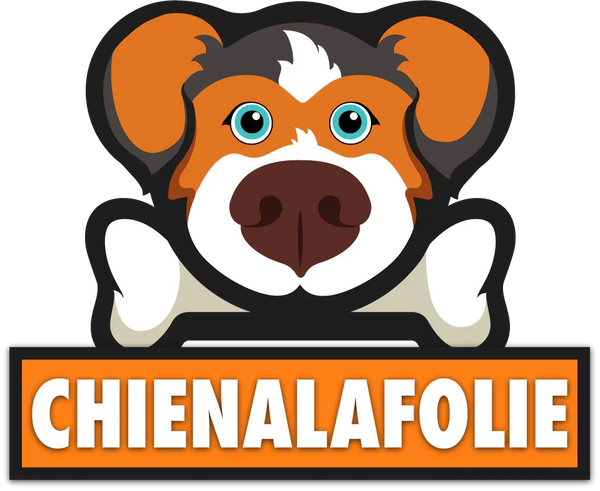 LogoFull_chienalafolie_959px_x_784px