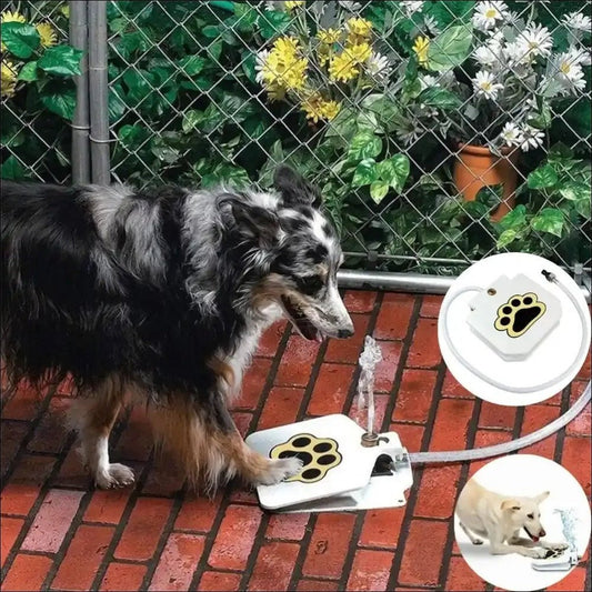 High Quality Outdoor Dog Drinker