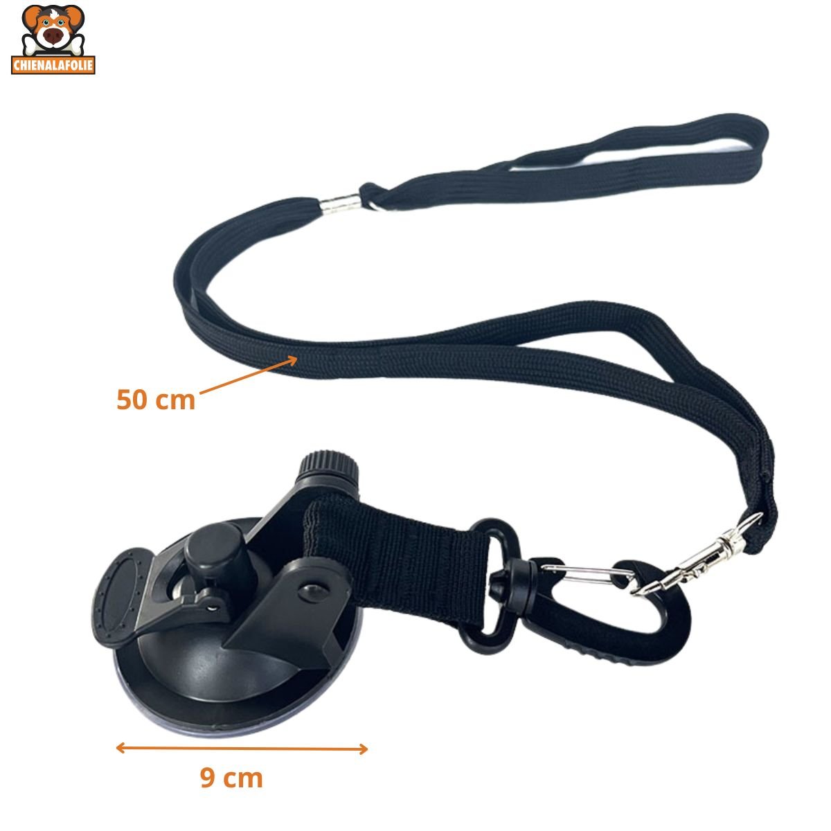 Attache de Bain à Ventouse pour Animaux - CJGY210424904DW - Attaches de Bain - Chienalafolie