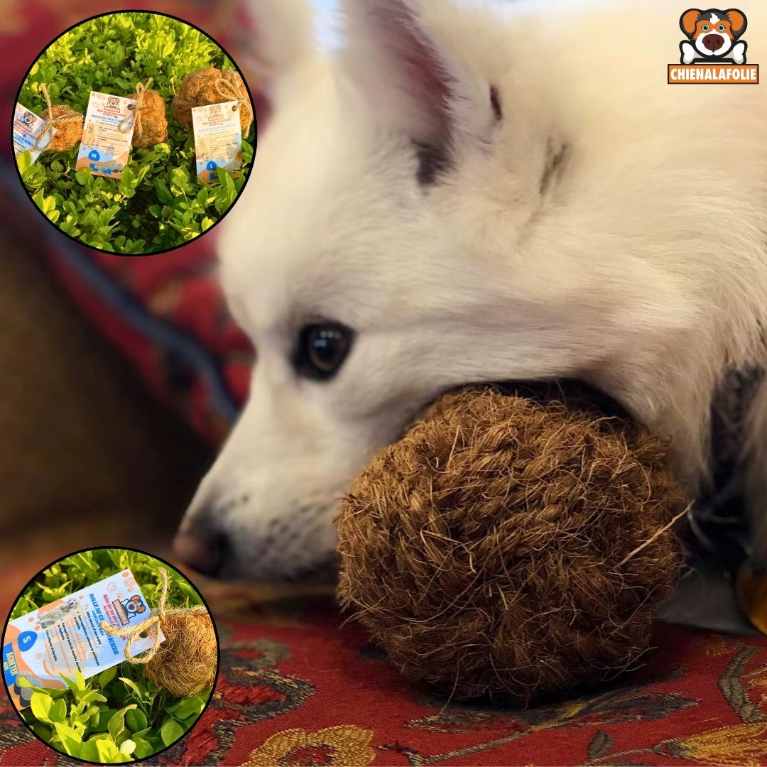 Balle de coco à mâcher pour chien - coco - chew - ball - S - Balles naturelles - Chienalafolie