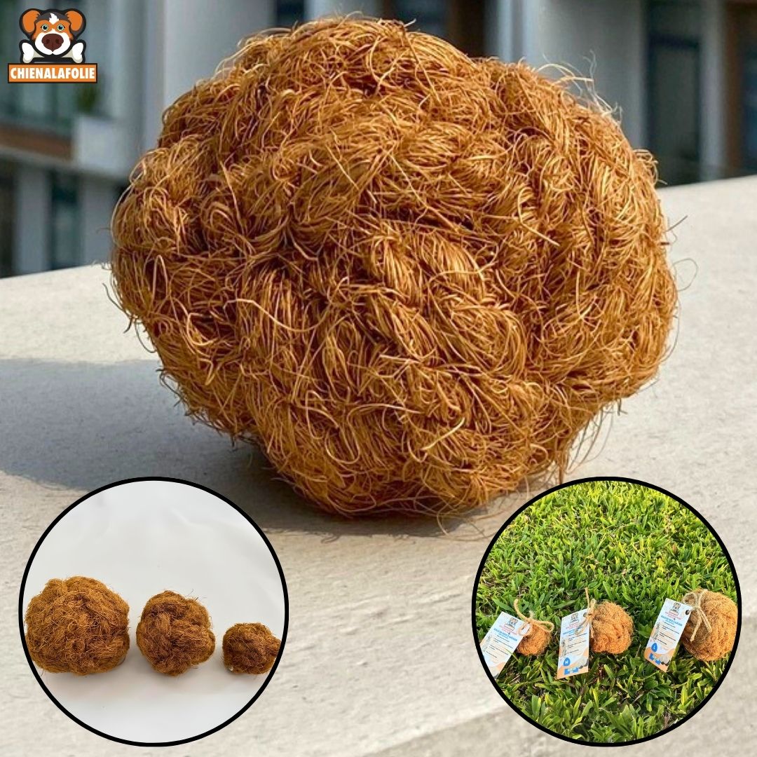 Balle de coco à mâcher pour chien - coco - chew - ball - S - Balles naturelles - Chienalafolie