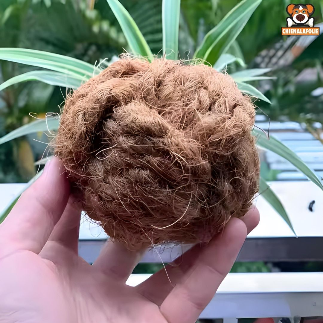 Balle de coco à mâcher pour chien - coco - chew - ball - S - Balles naturelles - Chienalafolie