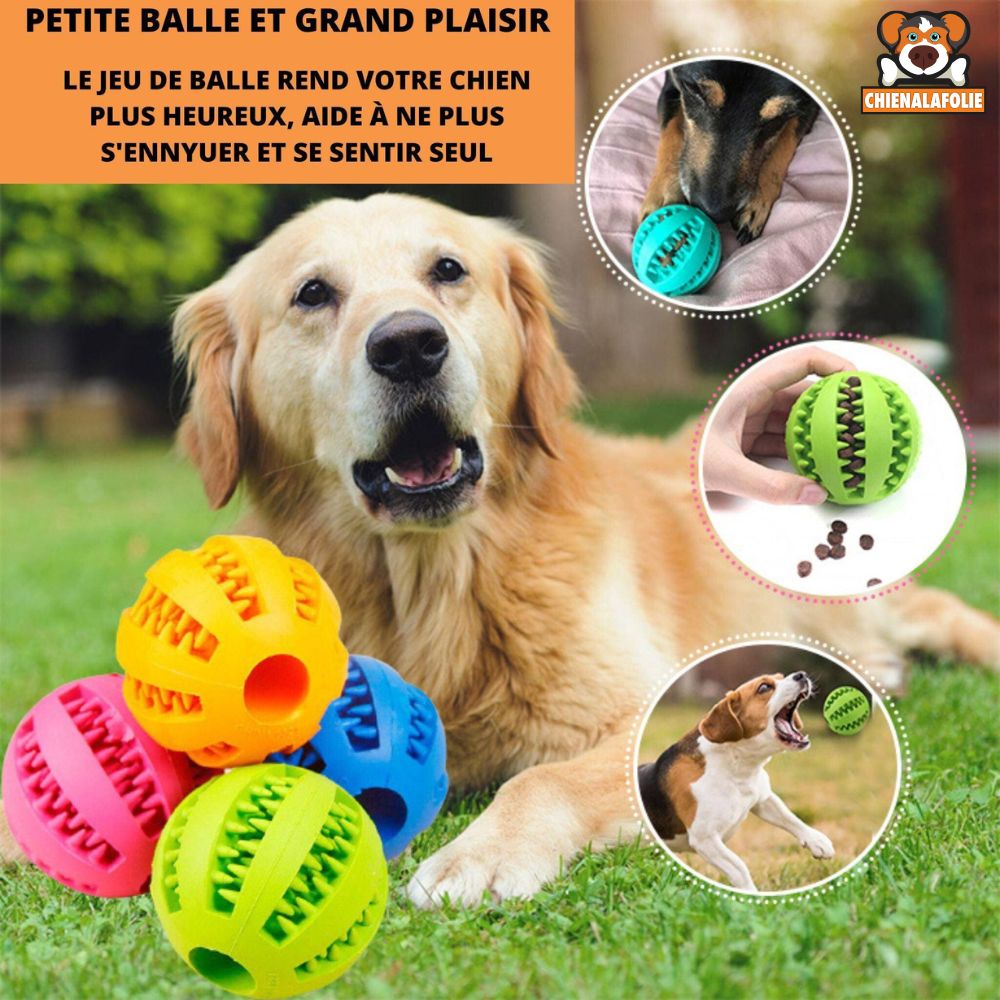 Balle Interactive Pour Chiens Careball - CJJJCWGY00305 - 7cm - 2PC - Balles - Chienalafolie