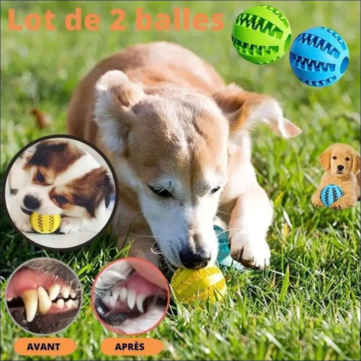 Balle Interactive Pour Chiens Careball - CJJJCWGY00305 - 7cm 2PC - Balles - Chienalafolie