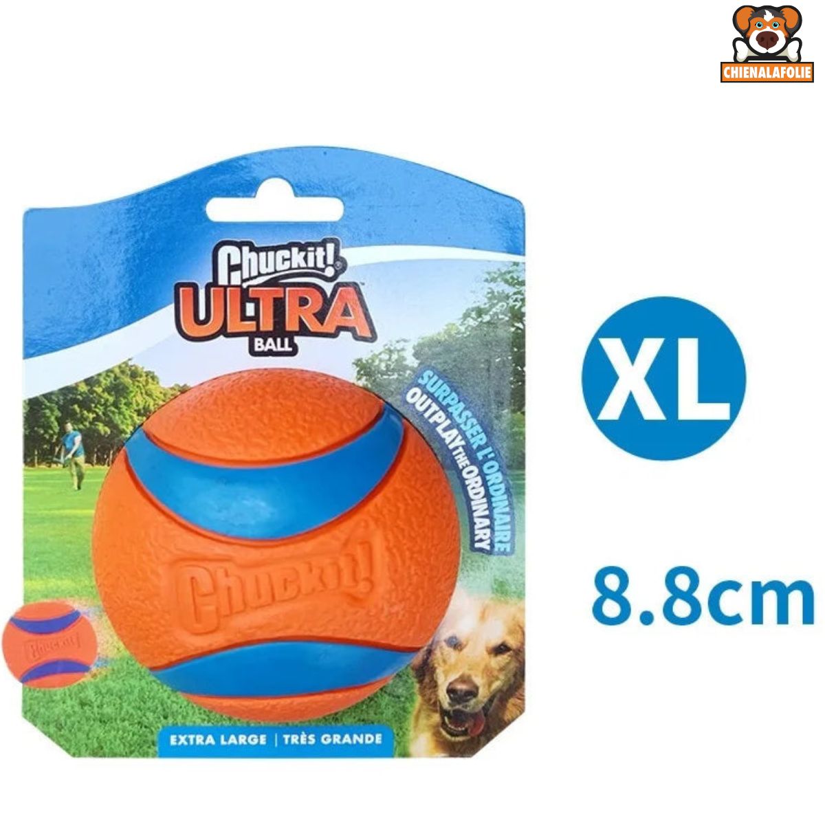 Balle Ultra Durable en Caoutchouc pour Chiens - 14:175#1pc elastic XL - Balles - Chienalafolie