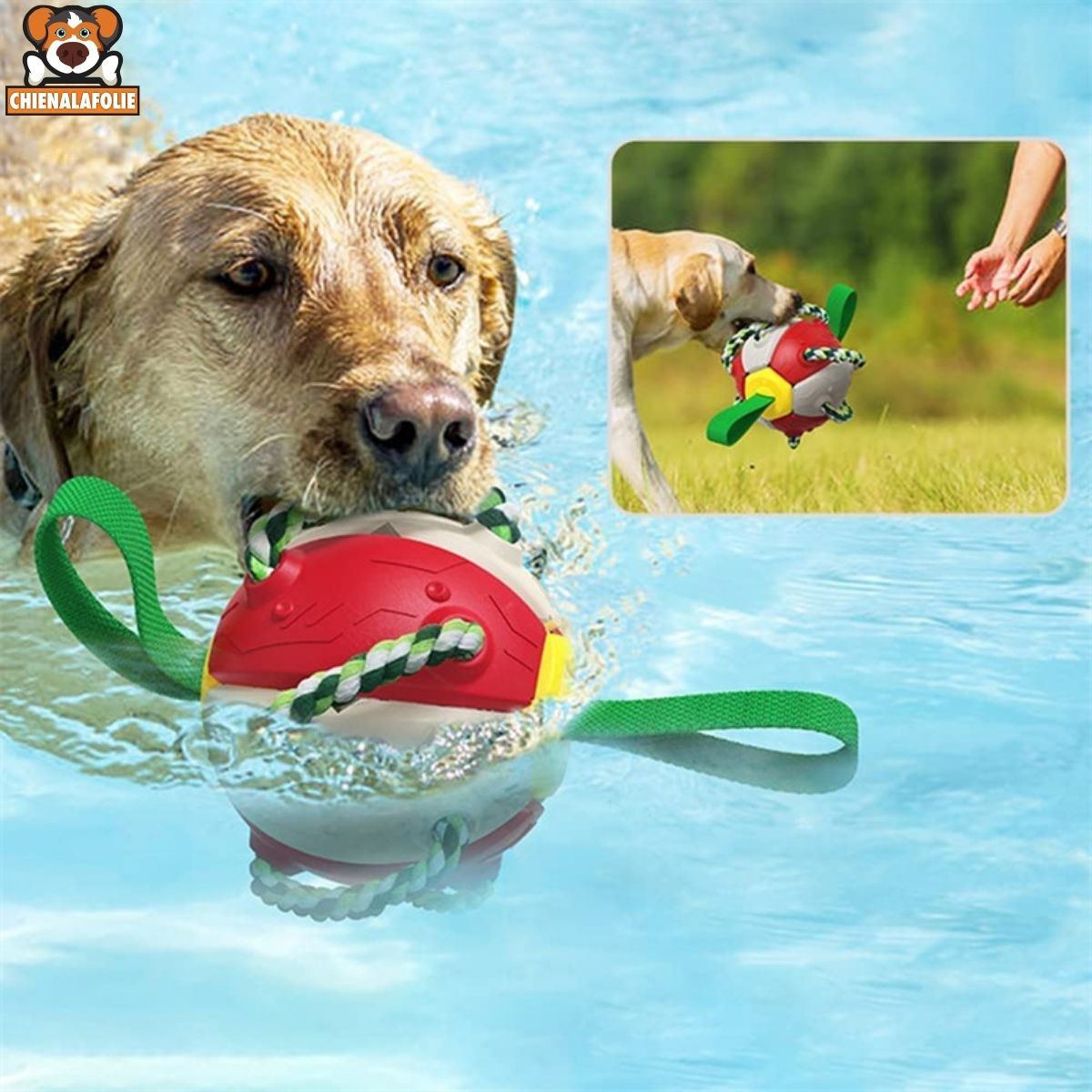 Ballon de Football Interactif pour Chiens - CJGY138913901AZ - Balles - Chienalafolie