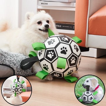 Ballon de Jeu Interactif pour Chiens - CJGY185868208HS - Balles - Chienalafolie