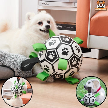 Ballon de Jeu Interactif pour Chiens - CJGY185868208HS - Balles - Chienalafolie