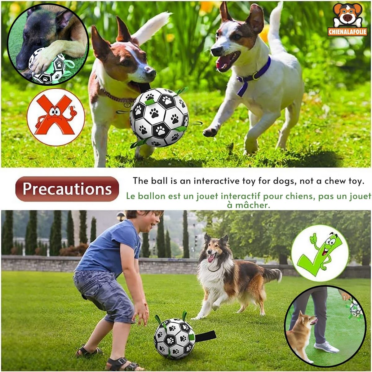 Ballon de Jeu Interactif pour Chiens - CJGY185868208HS - Balles - Chienalafolie