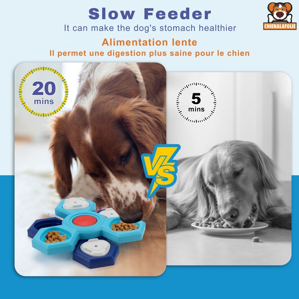 Interactive dog food bowl best sale