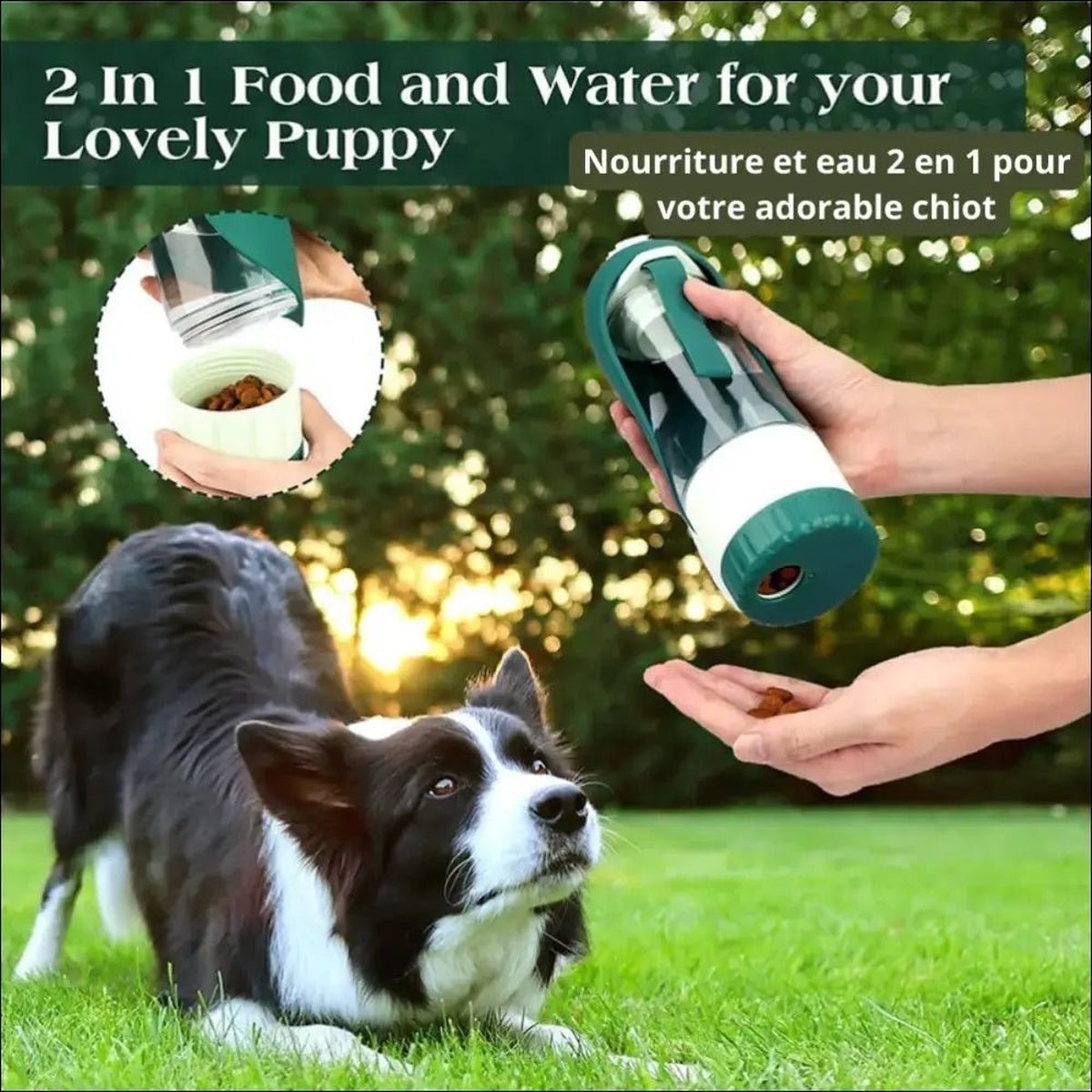 Bouteille D’eau fonction 2 En 1 Pour Chien - CJJT175814001AZ - Bouteilles - Chienalafolie