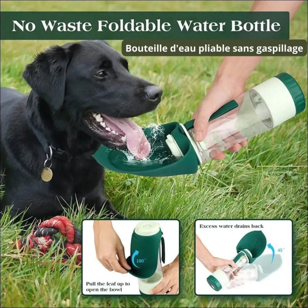 Bouteille D’eau fonction 2 En 1 Pour Chien - CJJT175814001AZ - Bouteilles - Chienalafolie