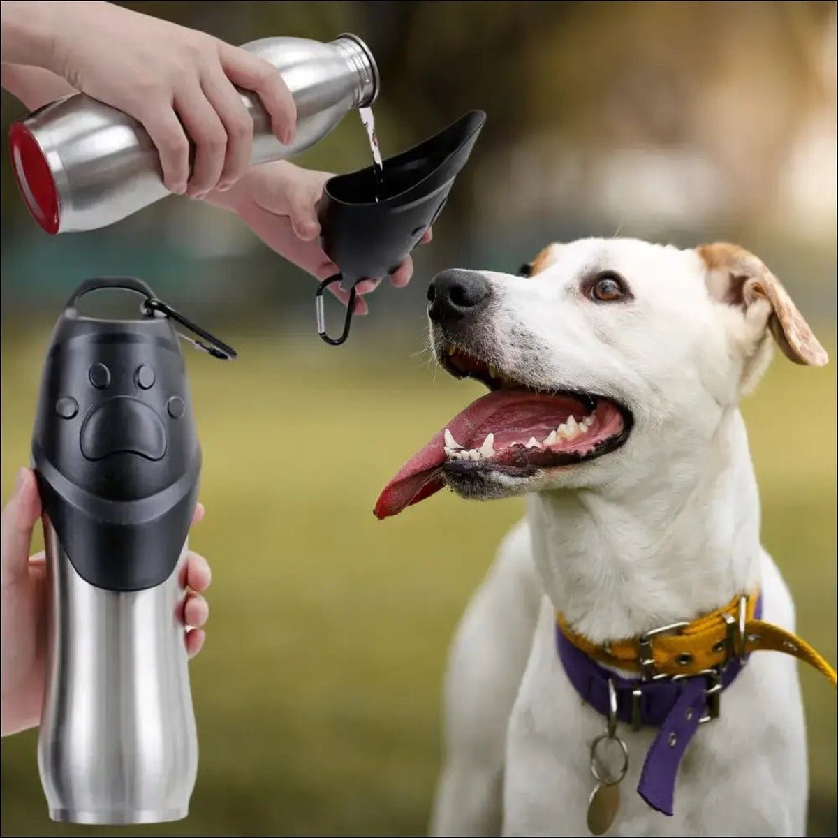 Bouteille D'eau Portable Pour Chiens 750ml - CJGY119181301AZ - Bouteilles - Chienalafolie