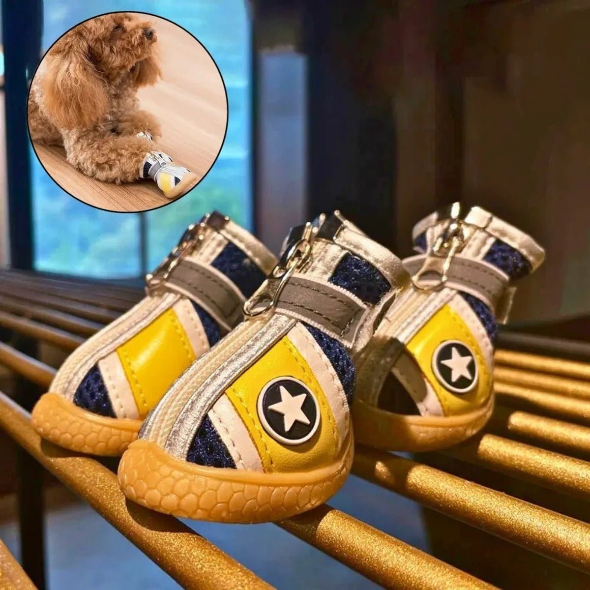 Chaussures Respirantes et Antidérapantes pour Chiens - CJYD189007006FU - Chaussures - Chienalafolie