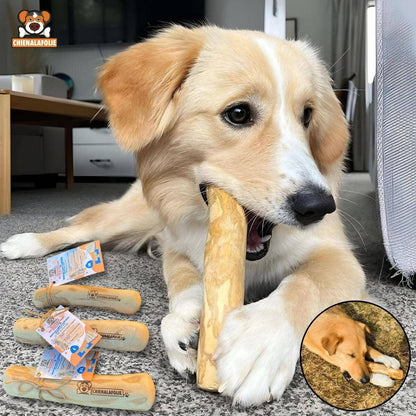Chien destructeur jouant avec un jouet naturel en bois de café pour mastication naturelle sécuritaire