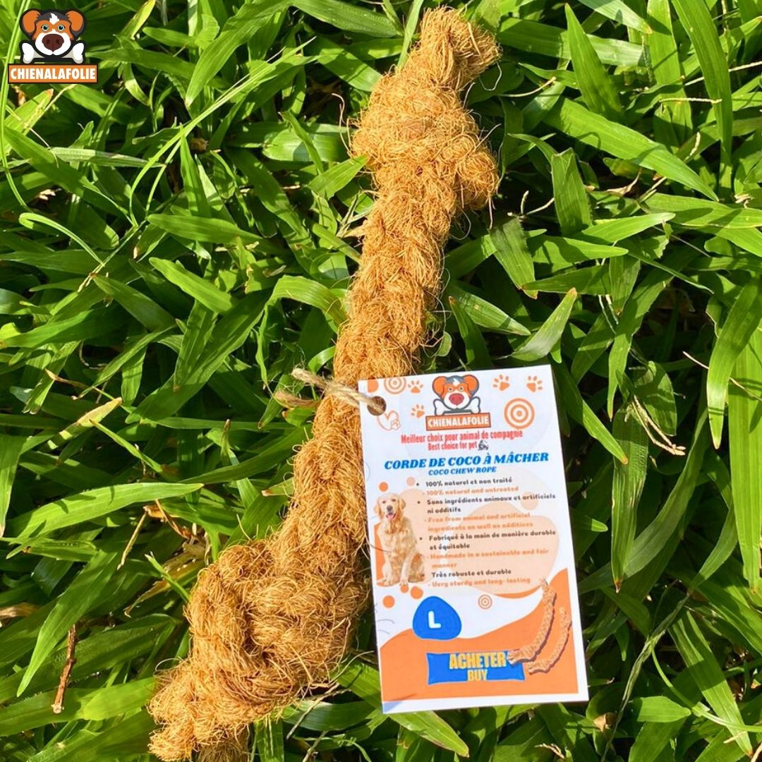 Corde de coco à mâcher pour chien - coco - chew - rope - stick - L - Cordes naturelles - Chienalafolie