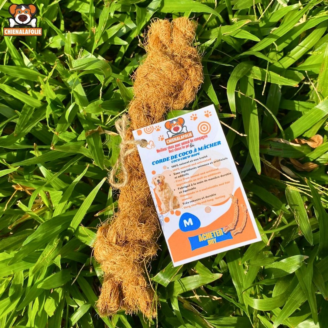 Corde de coco à mâcher pour chien - coco - chew - rope - stick - M - Cordes naturelles - Chienalafolie