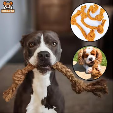 Corde de coco à mâcher pour chien - coco - chew - rope - stick - S - Cordes naturelles - Chienalafolie