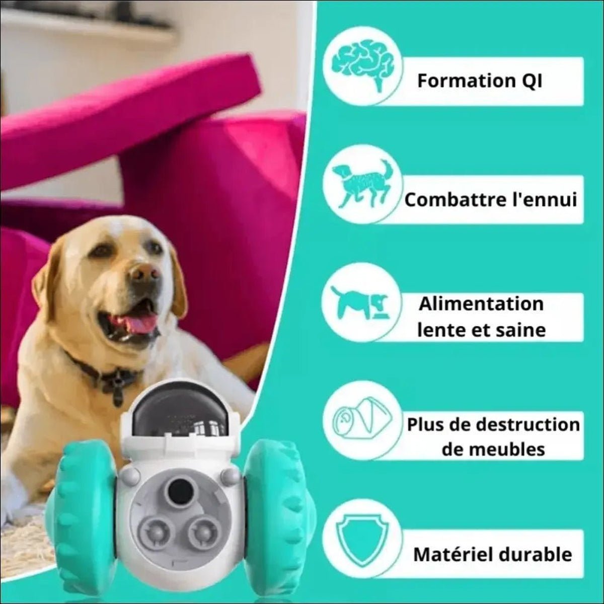 Distributeur Croquettes Swingpuz Pour Chien - CJYD162594301AZ - Distributeurs de nourriture - Chienalafolie