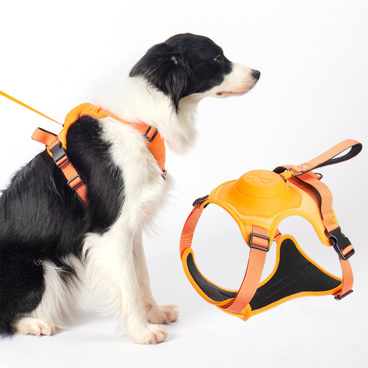 Ensemble de Harnais et Laisse Rétractable pour Chien - CJGY1860227 - M - Orange - Harnais - Chienalafolie