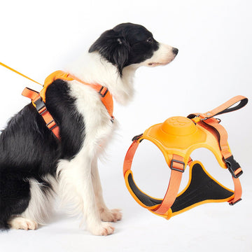 Ensemble de Harnais et Laisse Rétractable pour Chien - CJGY1860227 - M - Orange - Harnais - Chienalafolie