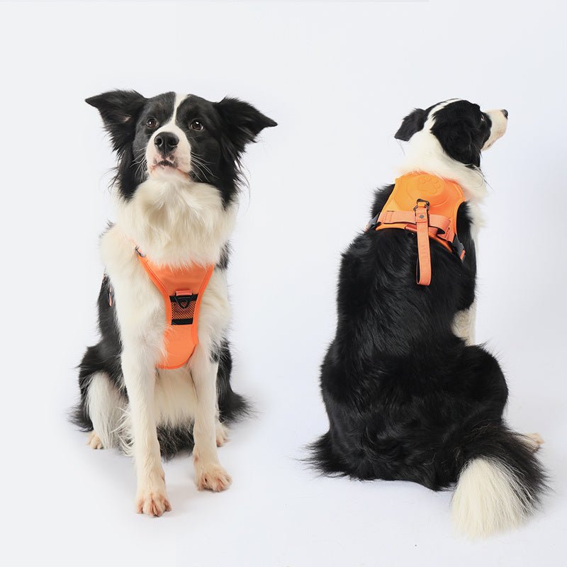 Ensemble de Harnais et Laisse Rétractable pour Chien - CJGY1860227 - M - Orange - Harnais - Chienalafolie