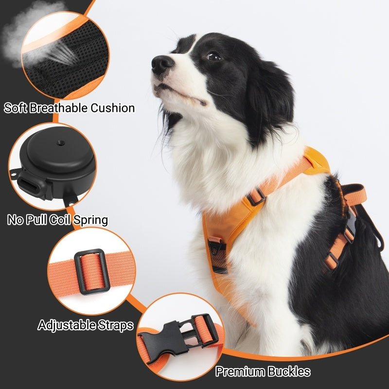 Ensemble de Harnais et Laisse Rétractable pour Chien - CJGY1860227 - M - Orange - Harnais - Chienalafolie