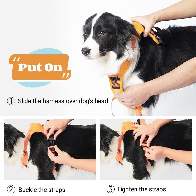 Ensemble de Harnais et Laisse Rétractable pour Chien - CJGY1860227 - M - Orange - Harnais - Chienalafolie