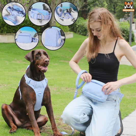 Ensemble de Laisse et Collier en Velours pour Chiens