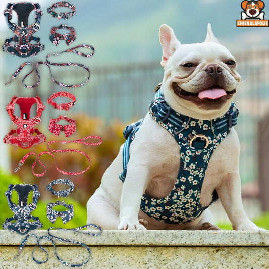 Matching Harness, Leash and Floral Collar Set
