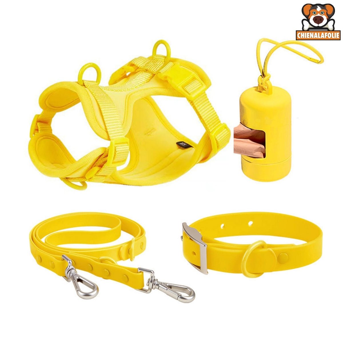 Ensemble Harnais pour Chien en PVC - CJGY197601509IR - Harnais - Chienalafolie