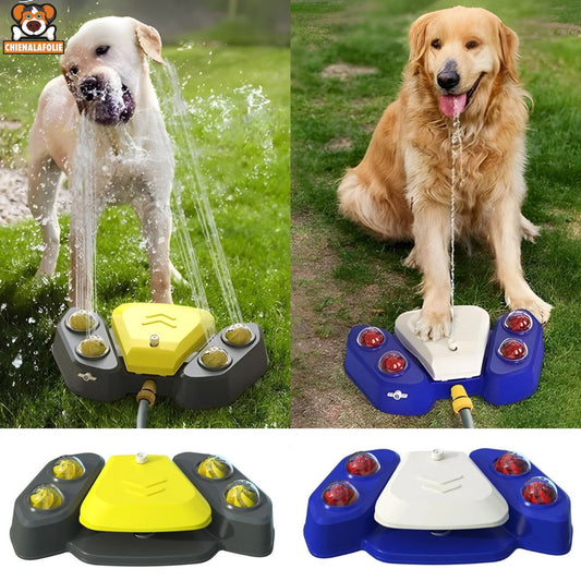 Fontaine Automatique Activée par la Patte pour Chiens