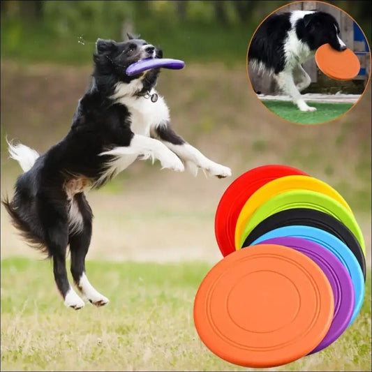 Frisbee Flyingdisc Pour Chiens Résistant