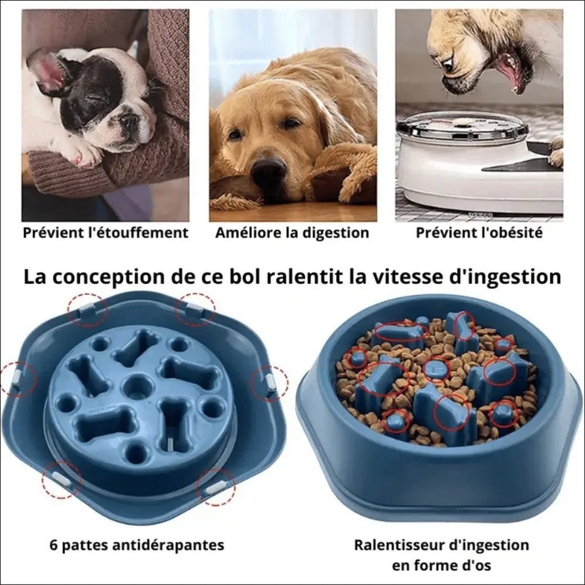 Gamelle Anti - glouton Gluttonslow Pour Chiens - CJGY103543104DW - Gamelles - Chienalafolie