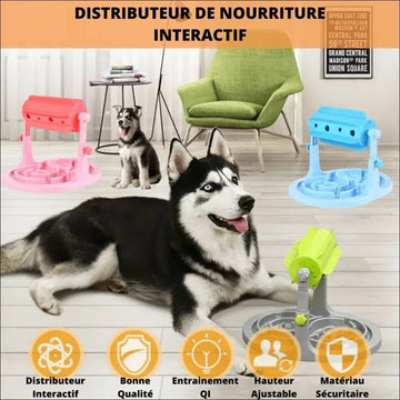 Gamelle Anti - glouton Puzzslow - CJJT131923201AZ - Distributeurs de nourriture - Chienalafolie