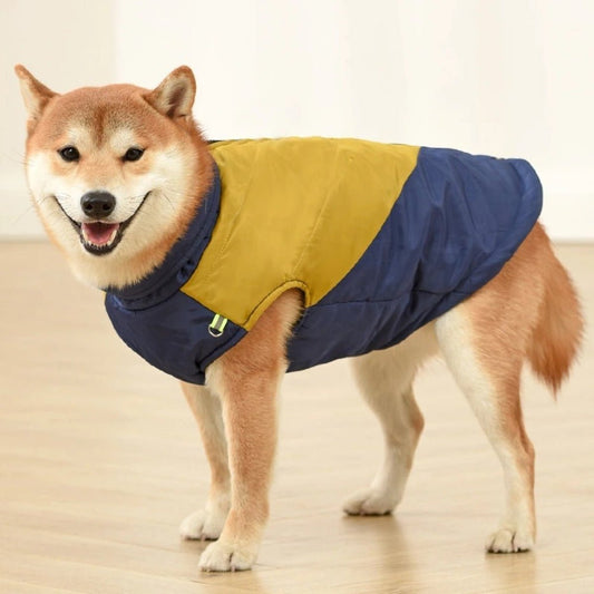 Comfort and Style Cotton Vest for Dogs 