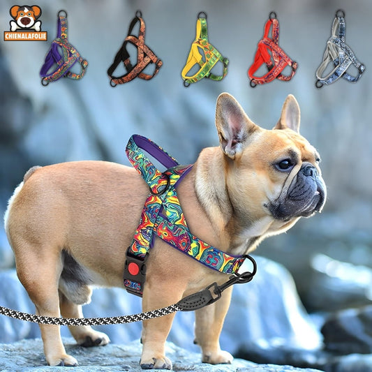 Comfort and Design Anti-Traction Dog Harness
