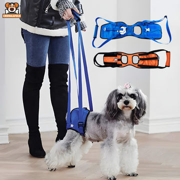 Harnais de Levage pour Chien Handicapé - CJGY100630001AZ - Harnais - Chienalafolie