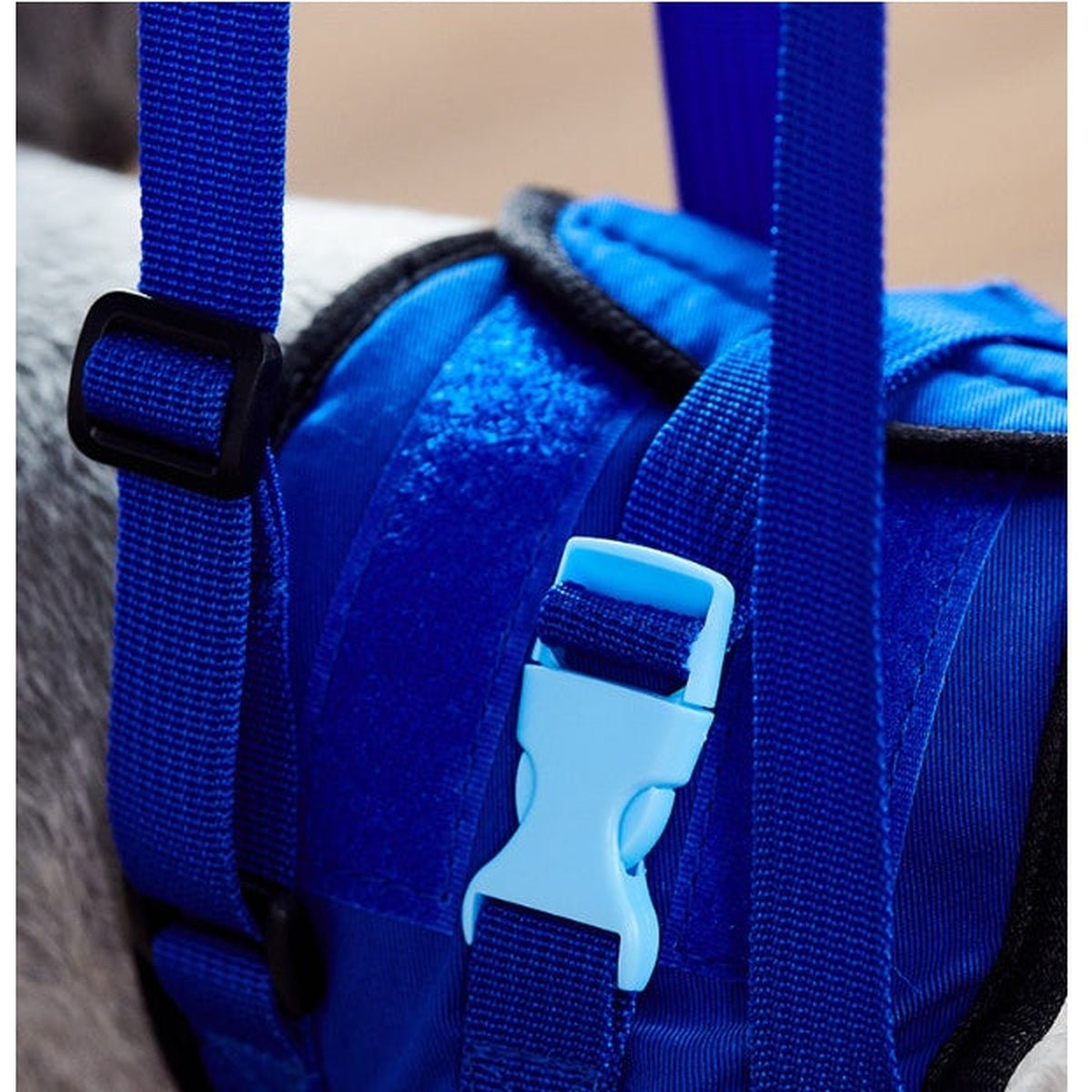 Harnais de Levage pour Chien Handicapé - CJGY100630001AZ - Harnais - Chienalafolie