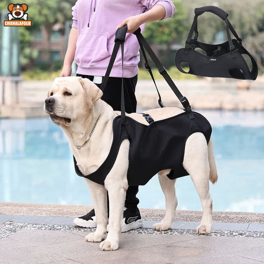 Harnais de Levage Réglable pour Chien en Tissu Oxford